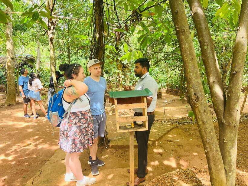 From Kandy: Sigiriya Day Tour with Elephant Safari(group) - Woodcarving factory and the silk-and-batik workshop: local making, not just photo ops