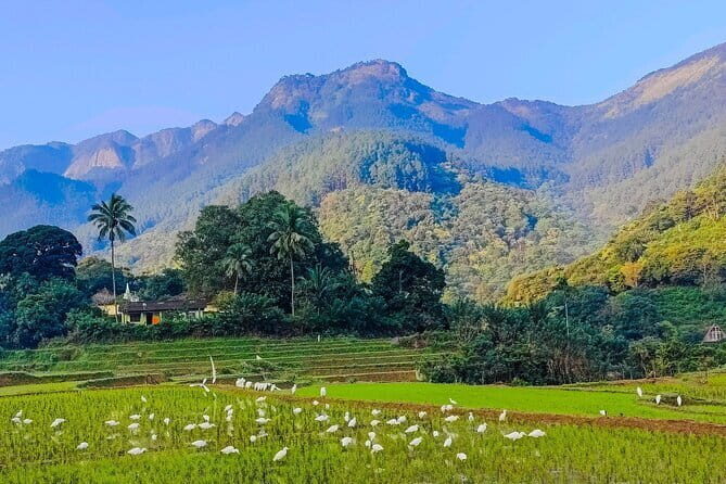 From Kandy to ELLA Private day tour - Gregory Lake or straight back: how you end your day