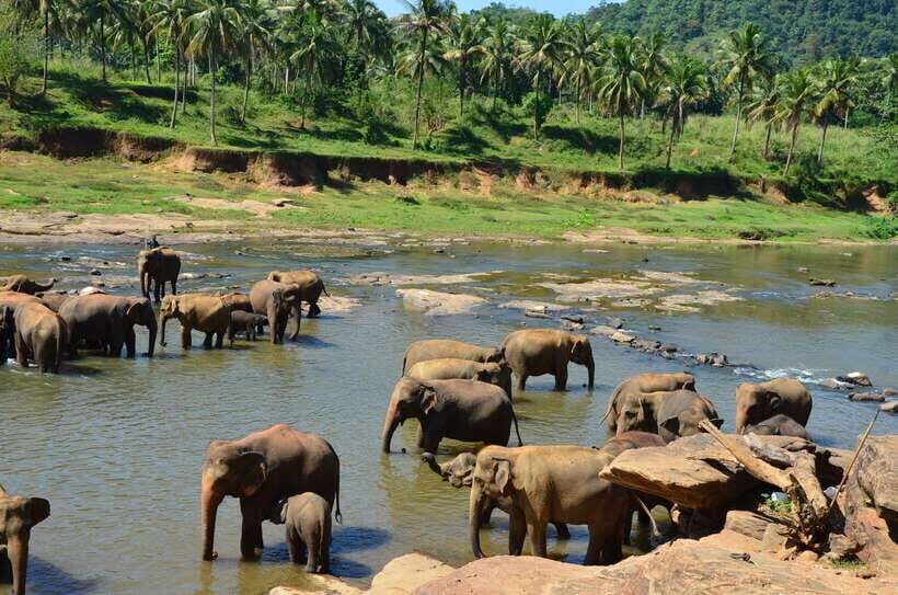 From Kandy To Pinnawala Private Day Tour via Ambuluwawa - What to Pack: Sun Protection, Temple Clothing, and Light Luggage