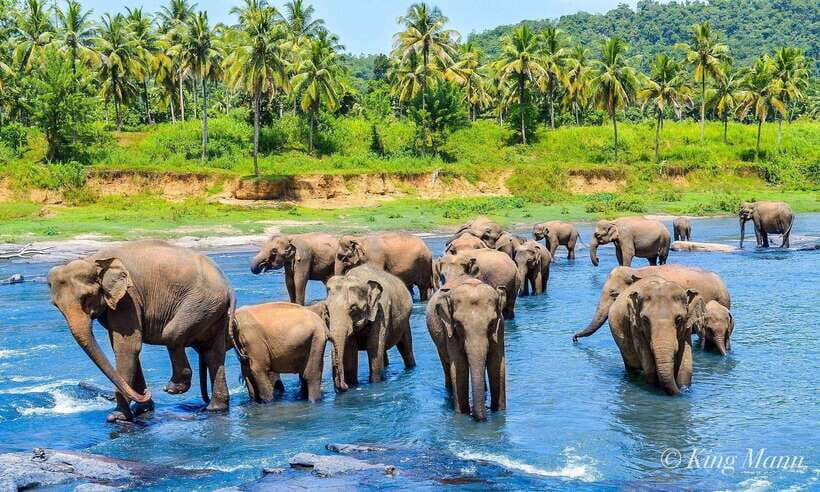 From Kandy To Pinnawala Private Day Tour via Ambuluwawa - Why This Kandy-to-Ambuluwawa Route Feels Right