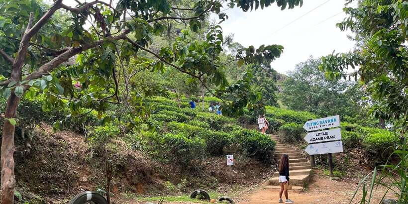 From kandy Train, and Pool Club Day Tour with Pickup - Key Highlights You’ll Actually Notice