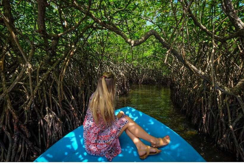From Negombo: Exclusive Madu River Safari & Turtle Hatchery - Cinnamon Island and Temple Island: short stops with real local flavor