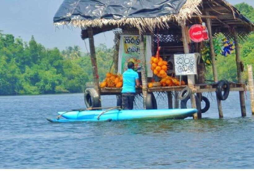 From Negombo: Exclusive Madu River Safari & Turtle Hatchery - Should you book the Madu River Safari and Kosgoda Turtle Hatchery?