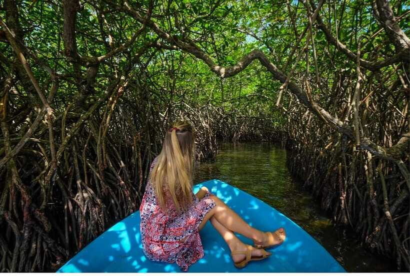From Negombo: Exclusive Madu River Safari & Turtle Hatchery - FAQ