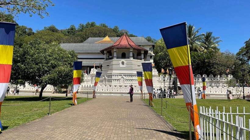 From Negombo : Pinnawala & Tea Factory & Kandy Full Day Trip - From Negombo hotel to Kandy hills: the private-van schedule