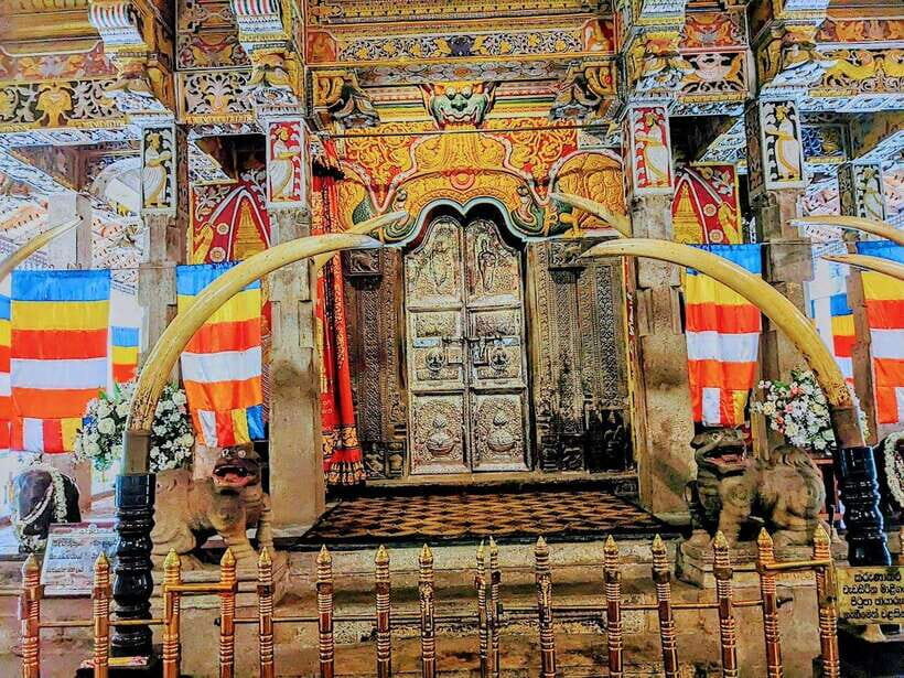 From Negombo : Pinnawala & Tea Factory & Kandy Full Day Trip - Temple of the Sacred Tooth Relic: shoes off, focus on meaning