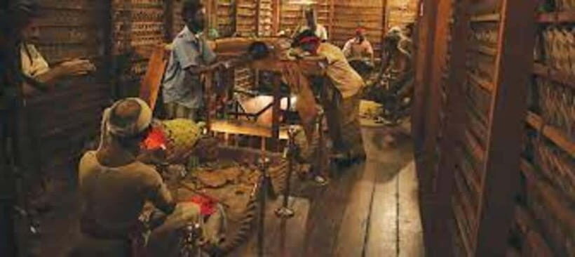 From Negombo : Pinnawala & Tea Factory & Kandy Full Day Trip - Kandy Lake, viewpoints, and the Great Kandy Culture dance show