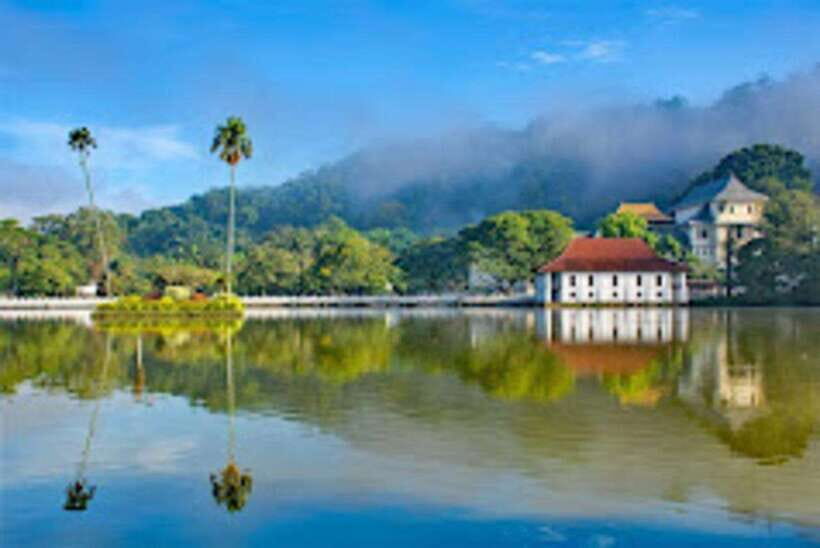 From Negombo : Pinnawala & Tea Factory & Kandy Full Day Trip - Pinnawala Millennium Elephant Foundation: your first big emotional stop