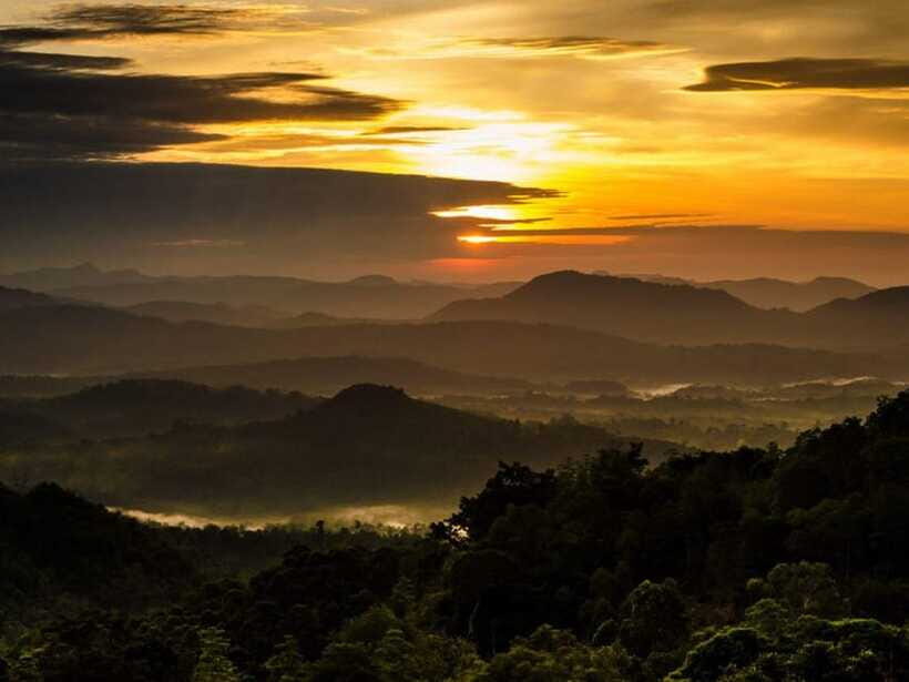 From Nuwara Eliya: Summit Bliss, Adams Peak Guided Hike - Coming back down after sunrise: the calm part that still takes effort