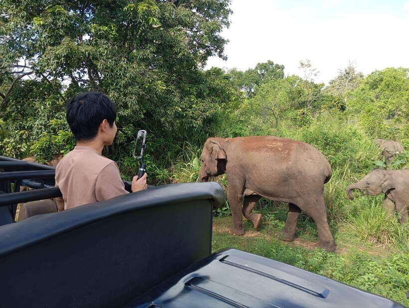 From Sigiriya: Hurulu Eco Park Elephant Jeep Safari - What to bring (and what to leave at home)