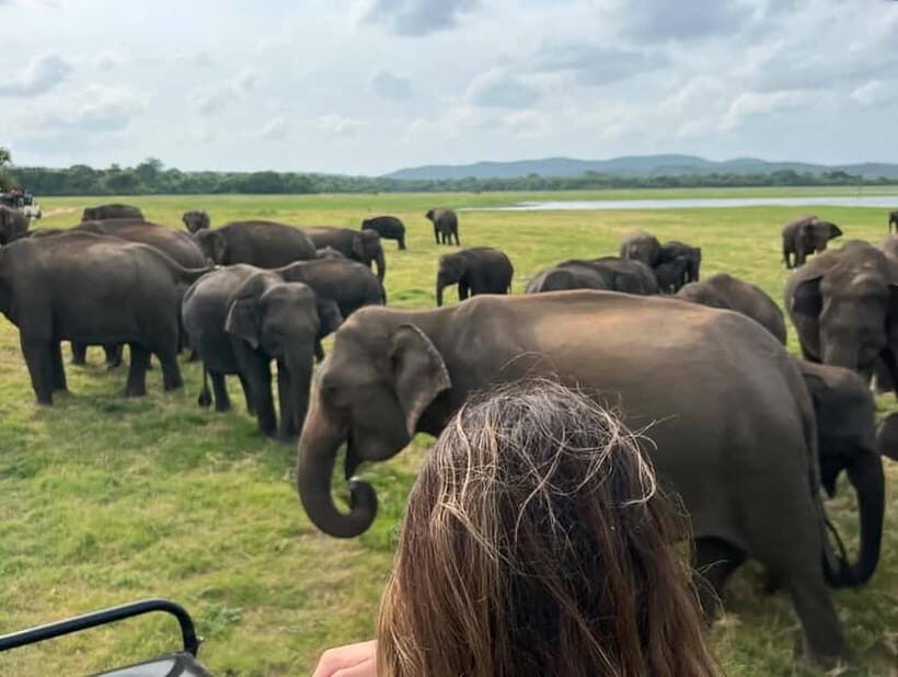From Sigiriya: Hurulu Eco Park Elephant Jeep Safari - Entering the park: what the jeep ride feels like