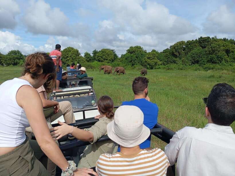From Sigiriya: Hurulu Eco Park Elephant Jeep Safari - Finding the elephant gathering: how this tour maximizes your odds