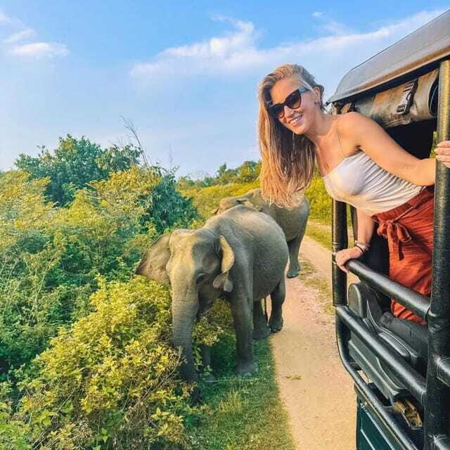 From Sigiriya : Hurulu Eco Park Safari : All Inclusive - Elephant spotting: the main show in Hurulu Eco Park
