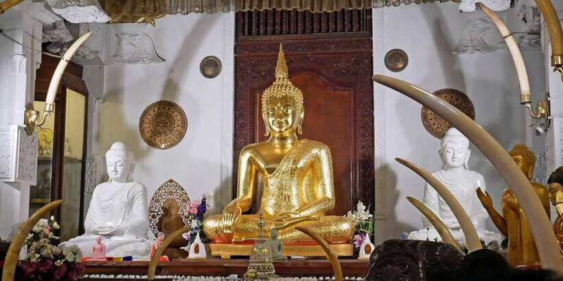 From Sigiriya: Kandy Transfer with Dambulla and Spice Garden - A 5-Hour Sigiriya to Kandy Plan That Still Feels Like Stops