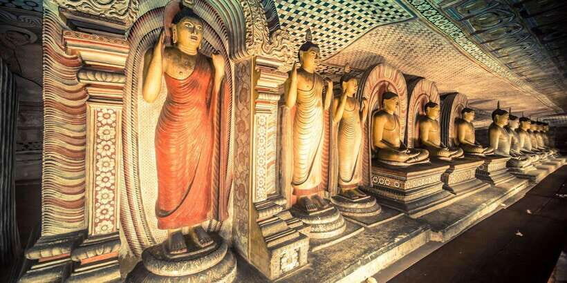 From Sigiriya: Kandy Transfer with Dambulla and Spice Garden - Spice Garden Visit: Cinnamon, Cloves, Cardamom, and How to Keep Control of Your Wallet