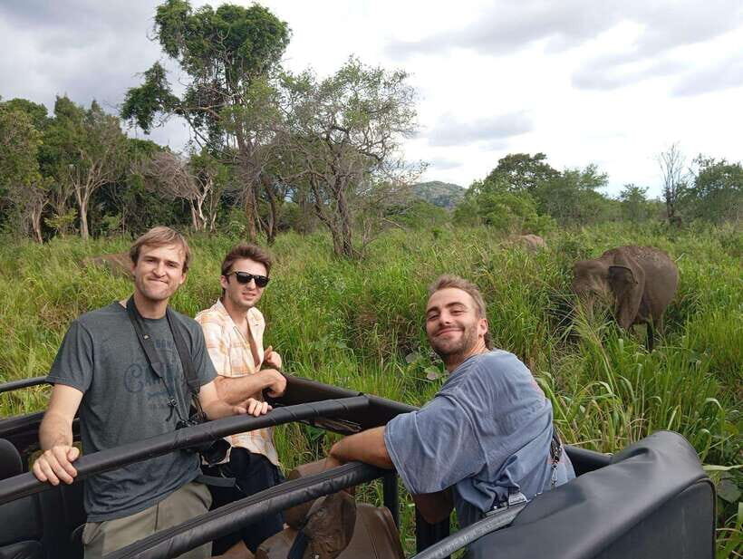 From Sigiriya: Minneriya National Park Half-Day Jeep Safari - Quick highlights that matter