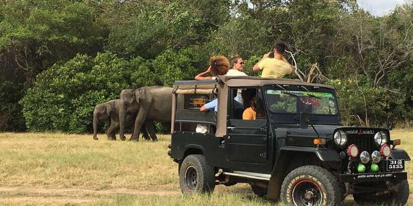 From Sigiriya: Polonnaruwa Ancient City & Minneriya Safari - Price and logistics: does $67 per person feel fair?