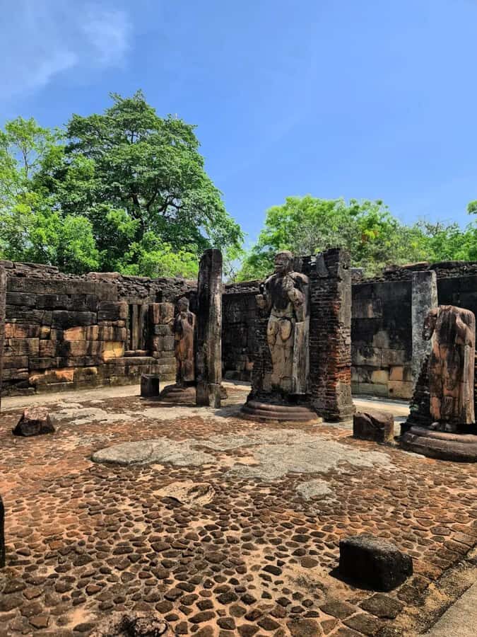 From Sigiriya :Polonnaruwa Ancient City Tour/Day Tour - Safari jeep comfort and the value of a private setup
