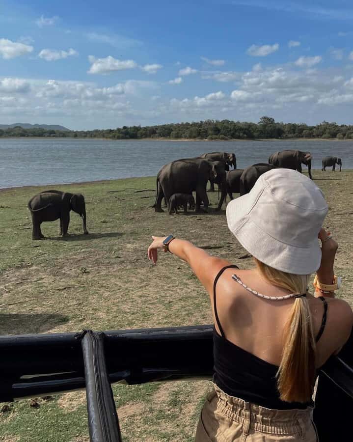 From Sigiriya :Polonnaruwa Ancient City Tour/Day Tour - Who this Polonnaruwa + elephant day is best for