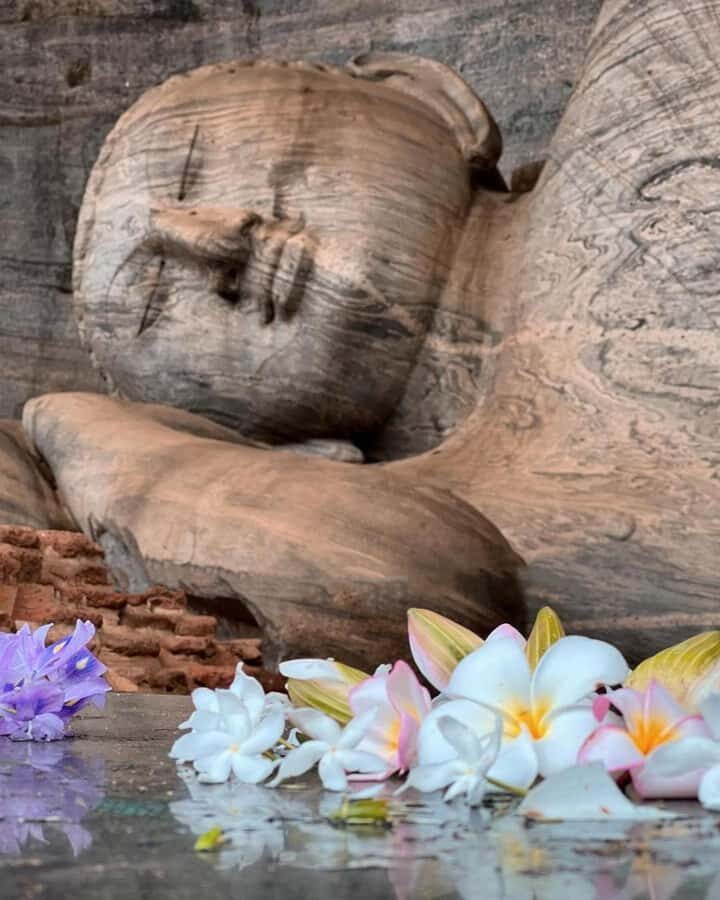 From Sigiriya :Polonnaruwa Ancient City Tour/Day Tour - Gal Vihara: the rock-carved Buddhas you’ll keep thinking about