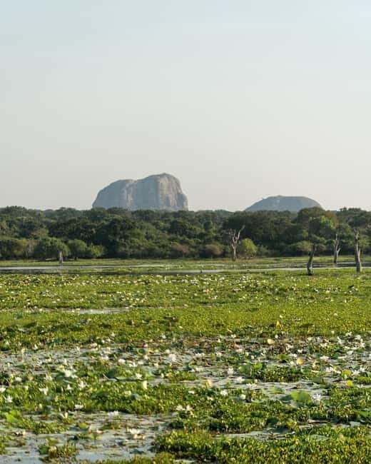 From Tangalle / Hiriketiya - Yala Safari - Drop-off : Ella - Price and value: $29 isn’t the full bill