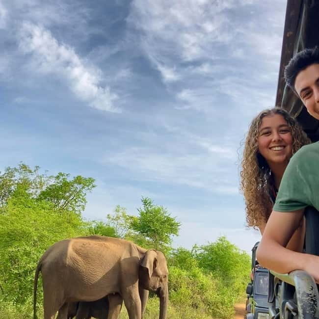From Tangalle/ Hiriketiya: Yala Safari with Drop: Ella - Should you book it?
