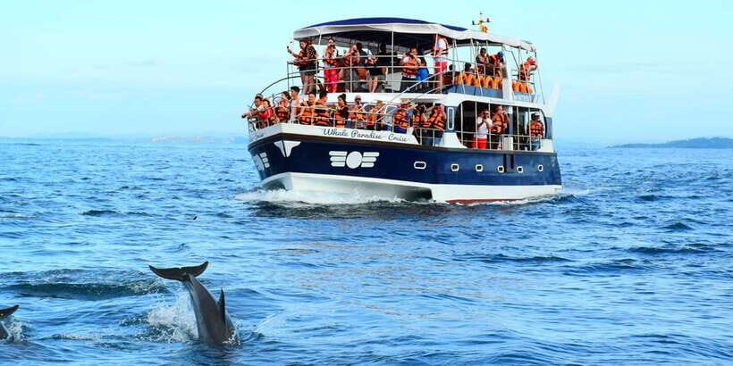 From Tangalle: Mirissa Whale Watching Tour with Breakfast - On the Water With a Naturalist Guide and GPS Tracking