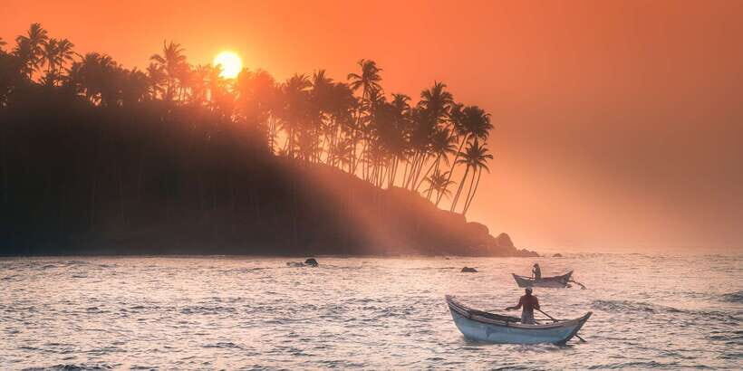 From Tangalle: Mirissa Whale Watching Tour with Breakfast - Who This Tour Suits Best
