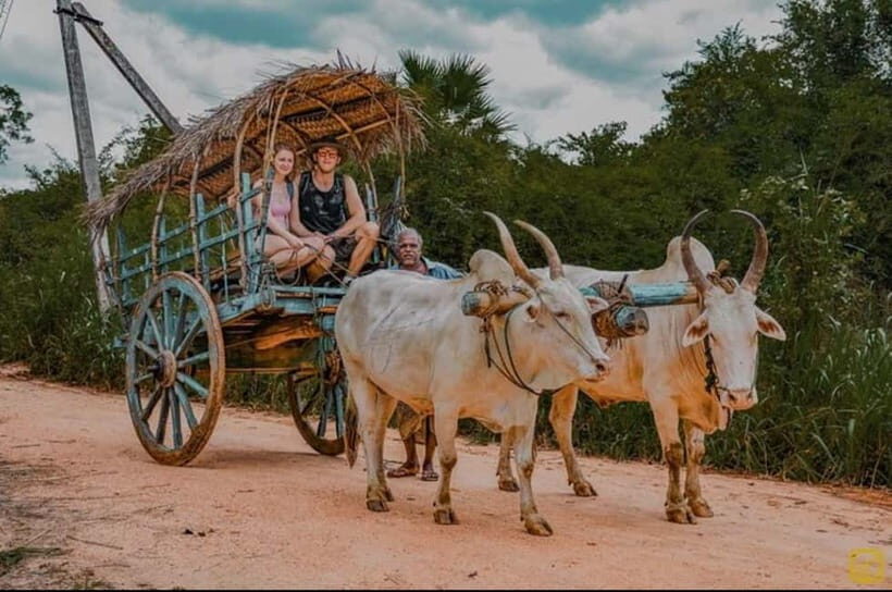 From Trincomalee: Village Tour & Minneriya Elephant Safari - Optional workshops after lunch: choose what fits your curiosity