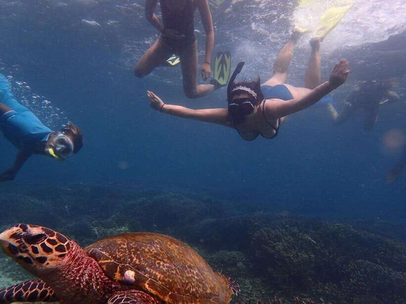 From Uppuveli Beach: Pigeon Island Snorkeling Tour - Key highlights worth your attention