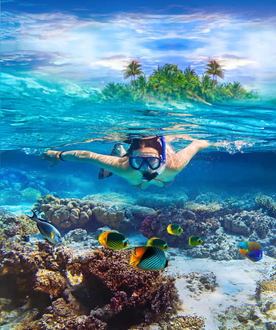 From Uppuveli Beach: Pigeon Island Snorkeling Tour - Pigeon Island is the reason this snorkel tour feels worth it