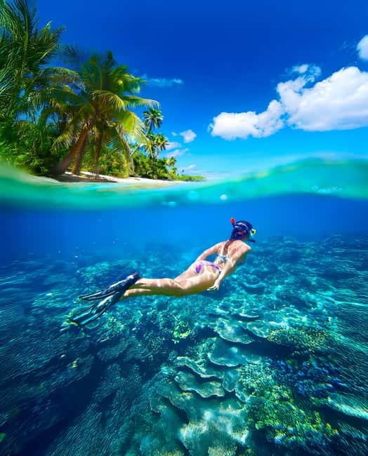 From Uppuveli Beach: Pigeon Island Snorkeling Tour - On the boat and at the jump-in: gear, group size, and how the guide works