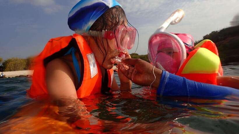 From Uppuveli Beach: Pigeon Island Snorkeling Tour - Who should book this tour, and who should skip it
