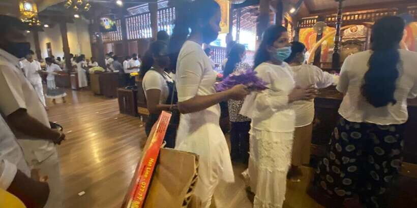 From west coast: Kandy, Tooth temple, Botanical & Tea garden - Peradeniya Botanical Garden: A Plant Walk With Real Character