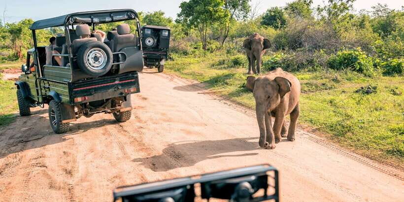 From Western Province: 2-Day Hill Country Highlights Trip - A Two-Day Route That Actually Feels Like Sri Lanka