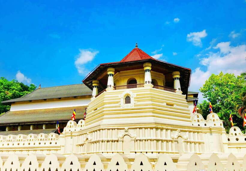 Full Coverage Kandy City Day Tour - Peradeniya Botanical Garden: Orchids, Palms, and 4,000+ Plants