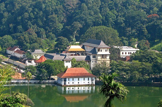Full-Day Kandy Highlights Tour - A Private Kandy Orientation That Actually Helps