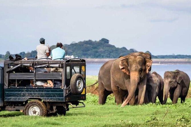 Full-Day Minneriya and Kaudulla National Parks Private Safari - Key highlights at a glance