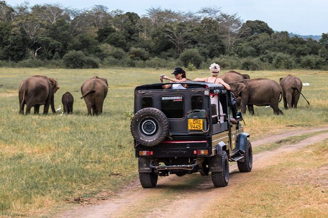 Full-Day Minneriya and Kaudulla National Parks Private Safari - Minneriya + Kaudulla in one outing: why this combo works