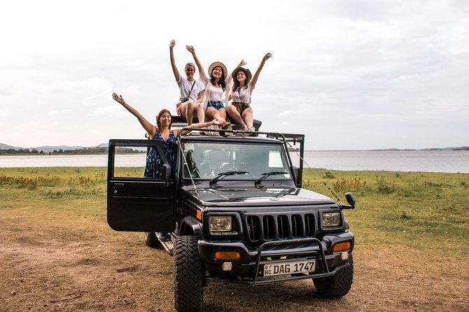 Full-Day Minneriya and Kaudulla National Parks Private Safari - Getting picked up in Sigiriya: timing that suits your day