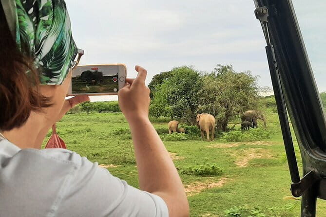 Full Day Safari Tour Yala - Elephants and sloth bears: the moments that tend to stick