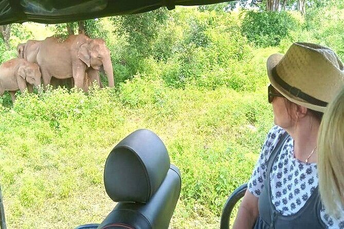 Fully Private Udawalawe National Park Safari Tour - Key things that make this safari work