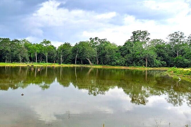 Fully Private Udawalawe National Park Safari Tour - Transfer to Udawalawe: What to Expect in the Vehicle