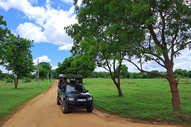 Fully Private Udawalawe National Park Safari Tour - Inside Udawalawe National Park: Your Core 3-Hour Safari Block