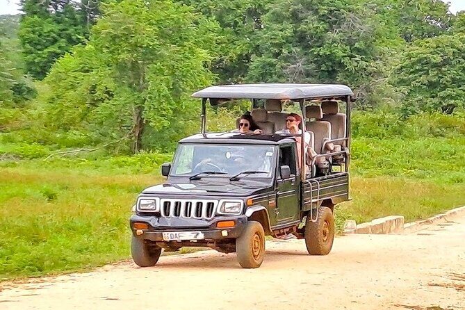 Fully Private Udawalawe National Park Safari Tour - Beyond Elephants: Birds and Wildlife Chances You’ll Likely Appreciate
