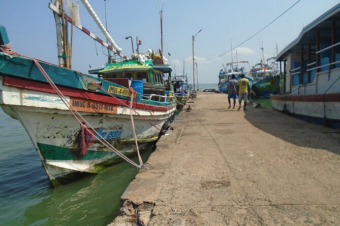 Fun and Scenic Negombo Tour by Tuk Tuk - Price and value: why $25 can make sense here
