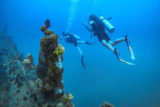Fun Dives For Certified Divers - Key highlights you’ll actually care about