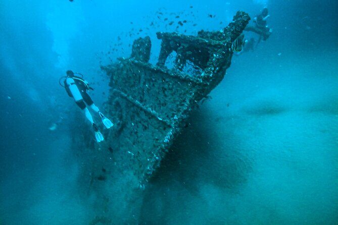 Fun Dives For Certified Divers - The schedule that shapes your day: morning registration vs afternoon timing