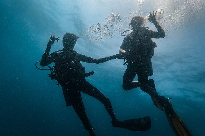Fun Dives For Certified Divers - Price and value: why $54.42 can be a good deal (or not)