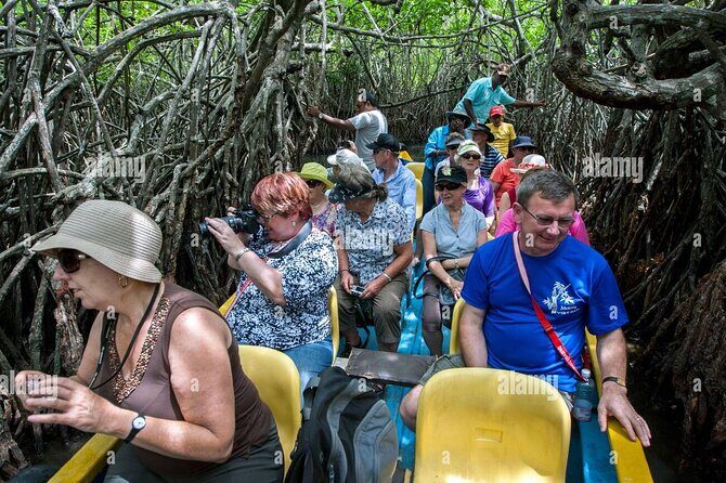 Galle and Bentota Day Tour From Colombo and Negombo - Cinnamon garden and stilt fishermen: small stops, big local texture